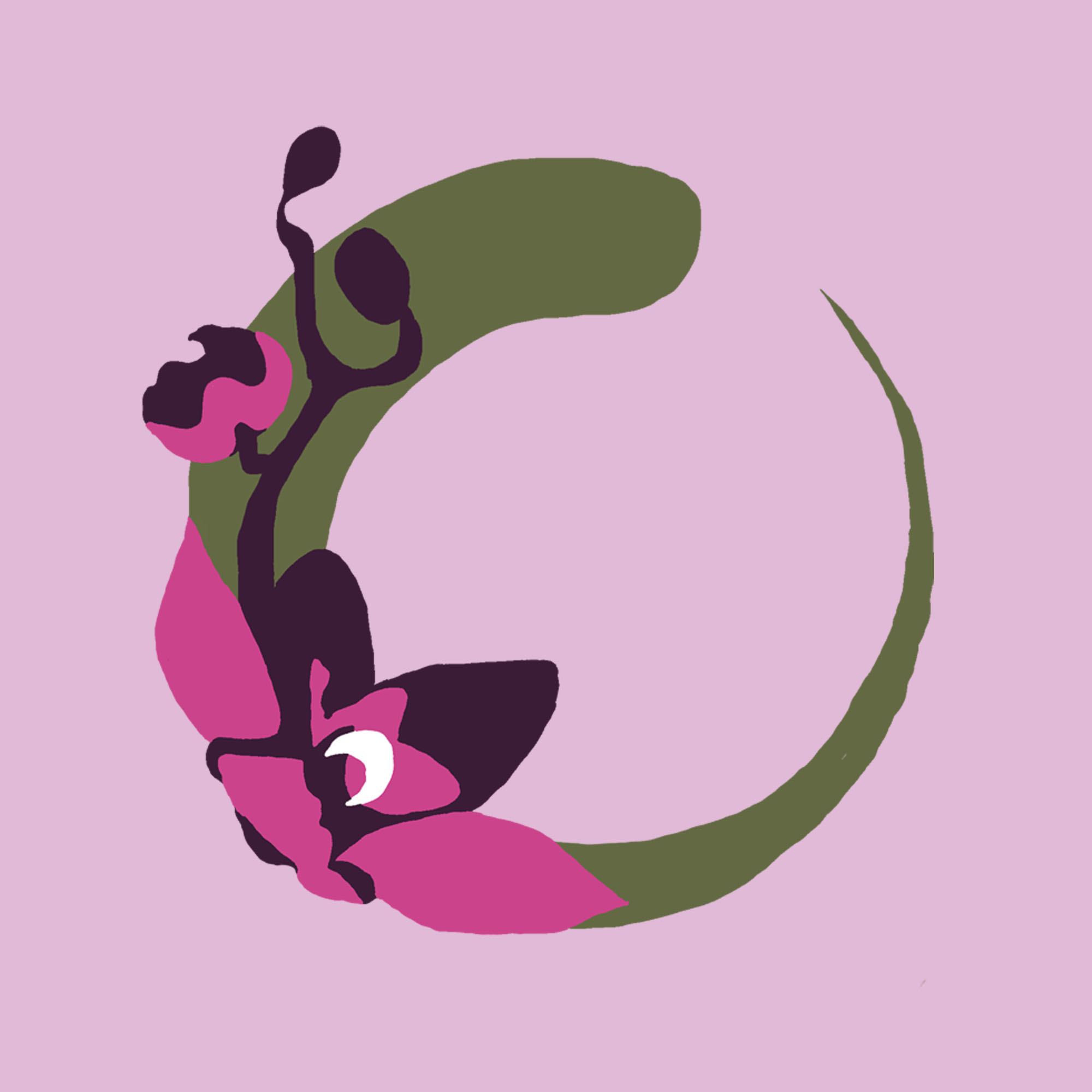 Orchid Pearl Solang